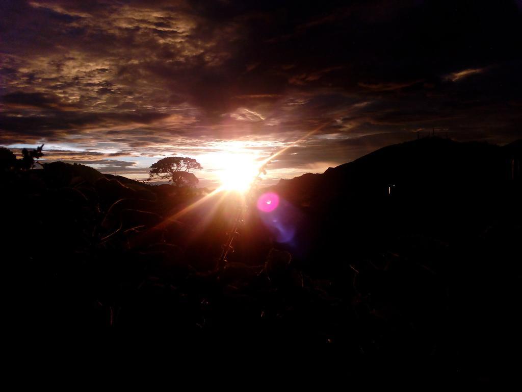 View Homestay *