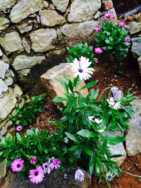 The Fern Cove Nuwara Eliya