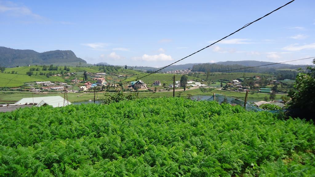 Homestay View Nuwara Eliya