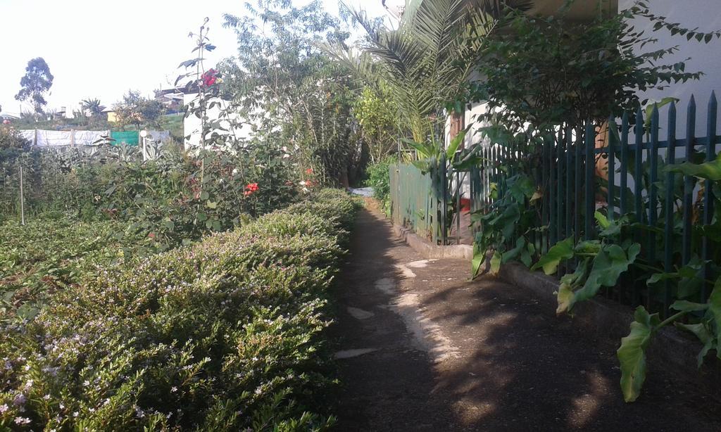 Homestay Avon Field *