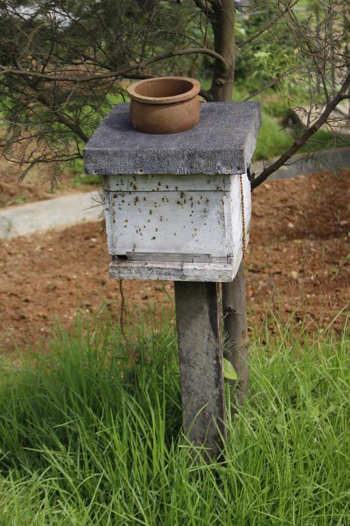 Villa Senani Colonial Nuwara Eliya