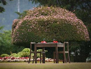 Ferncliff 4* Nuwara Eliya