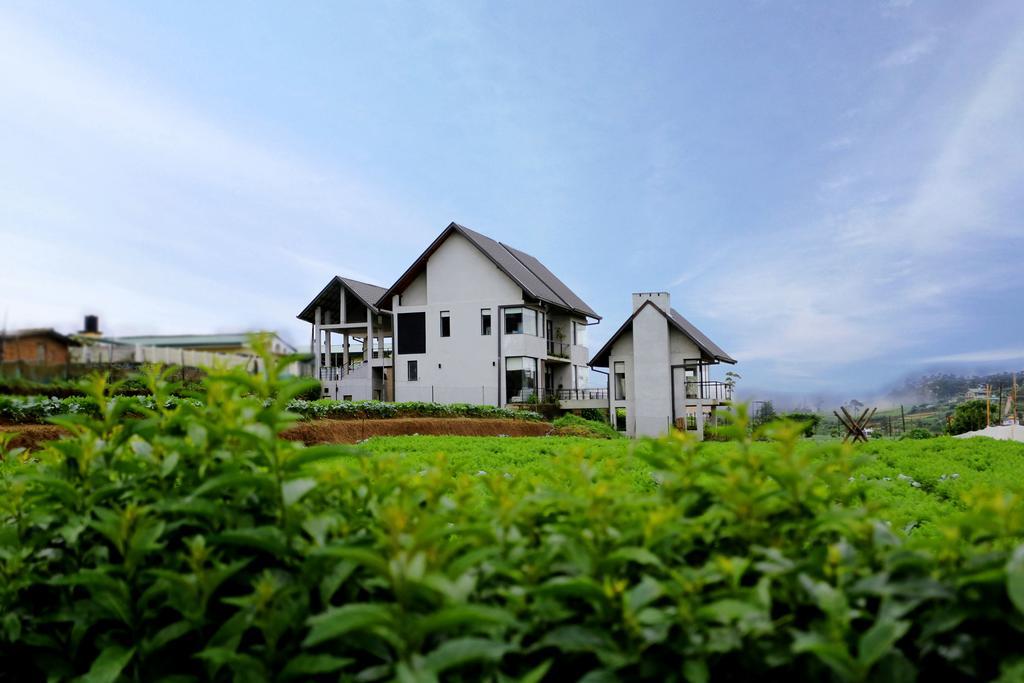 The Fern Cove