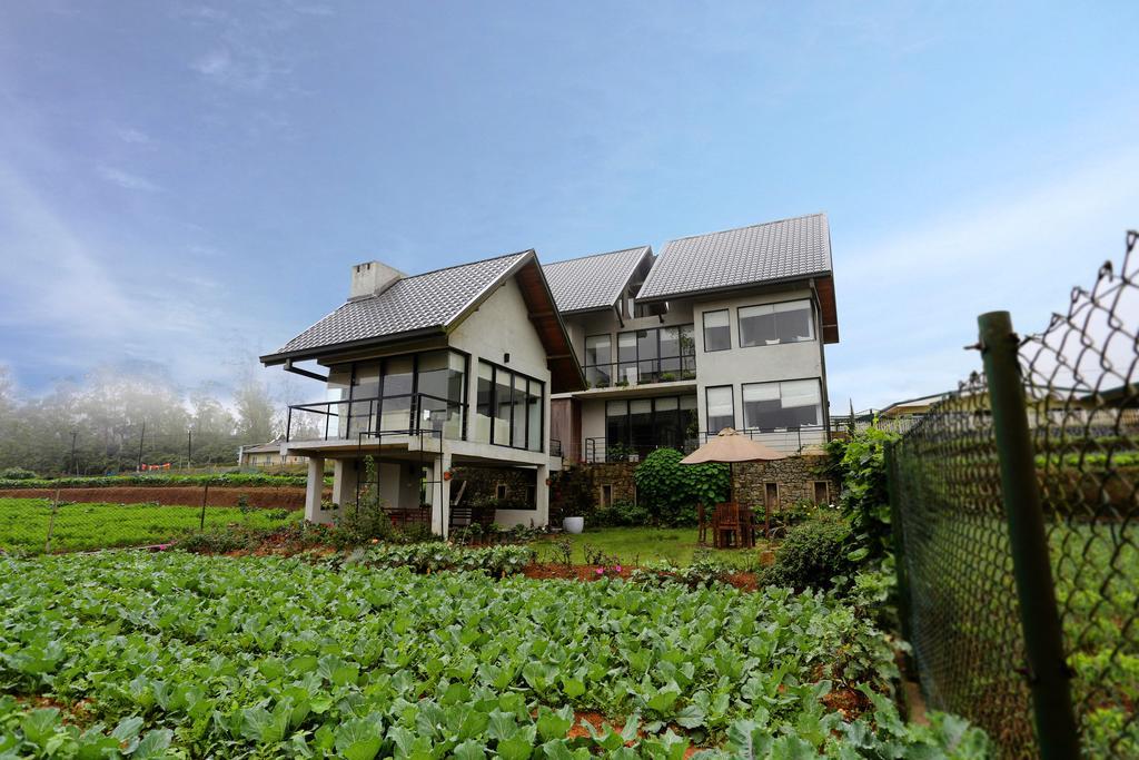 The Fern Cove Guest house Nuwara Eliya