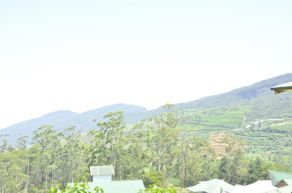Lodge Forest View Nuwara Eliya