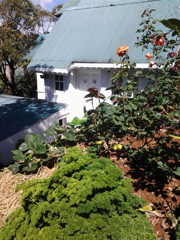 Guest house Sincere Wilderness