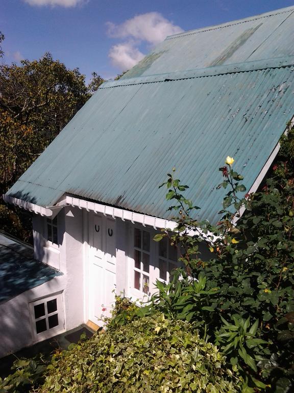 Sincere Wilderness Guest house