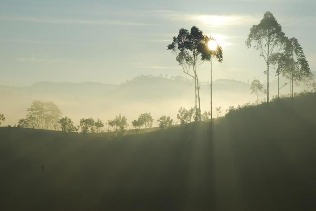 Jetwing St Andrew's 5* Nuwara Eliya