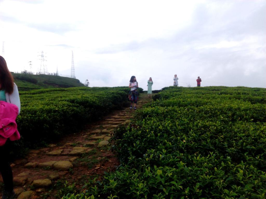 View Homestay
