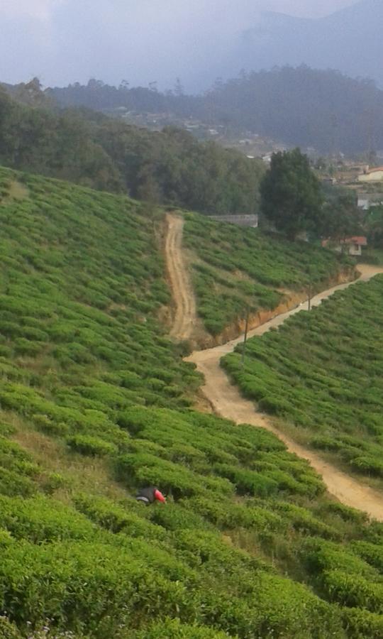 Kirula Nuwara Eliya