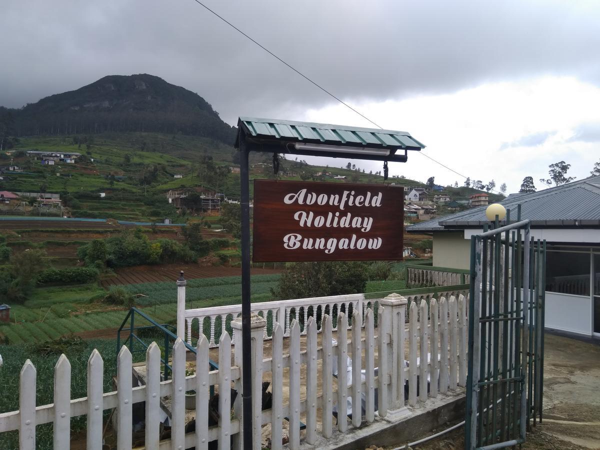 Avon Field Homestay *
