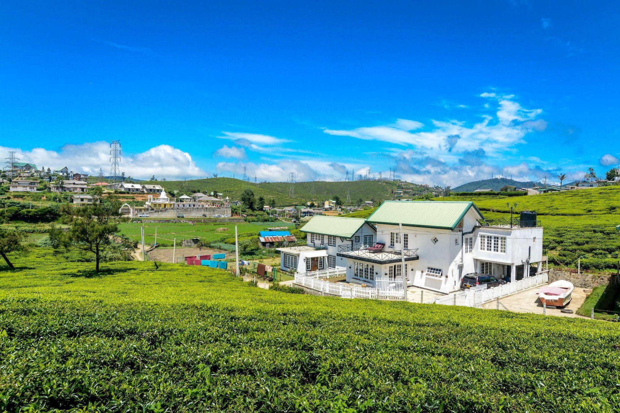 Tea Fields Villa *
