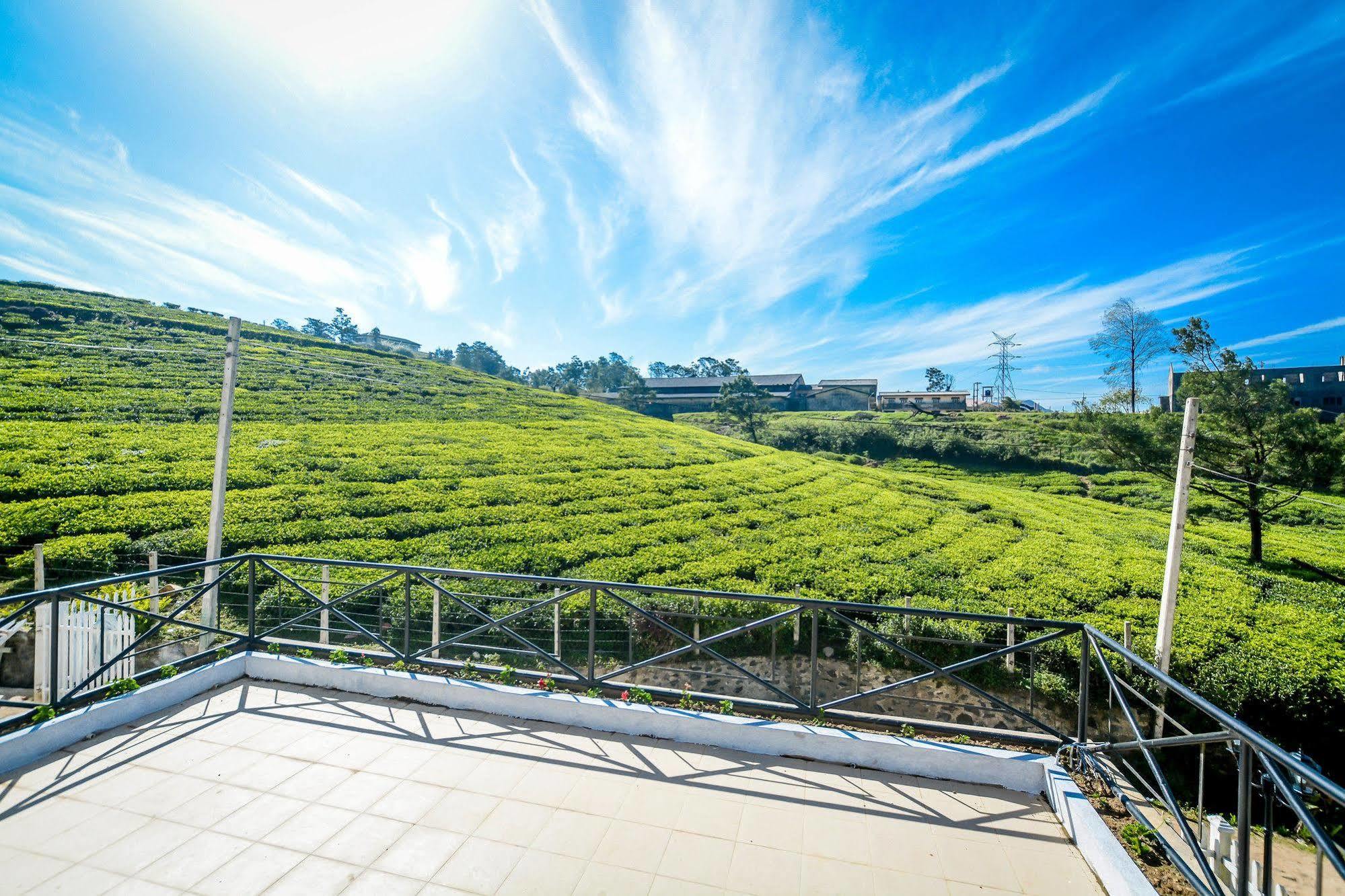 Tea Fields Villa