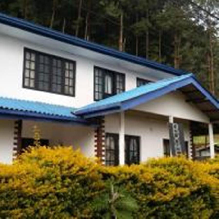 Yoho Royal Forest Edge Homestay *