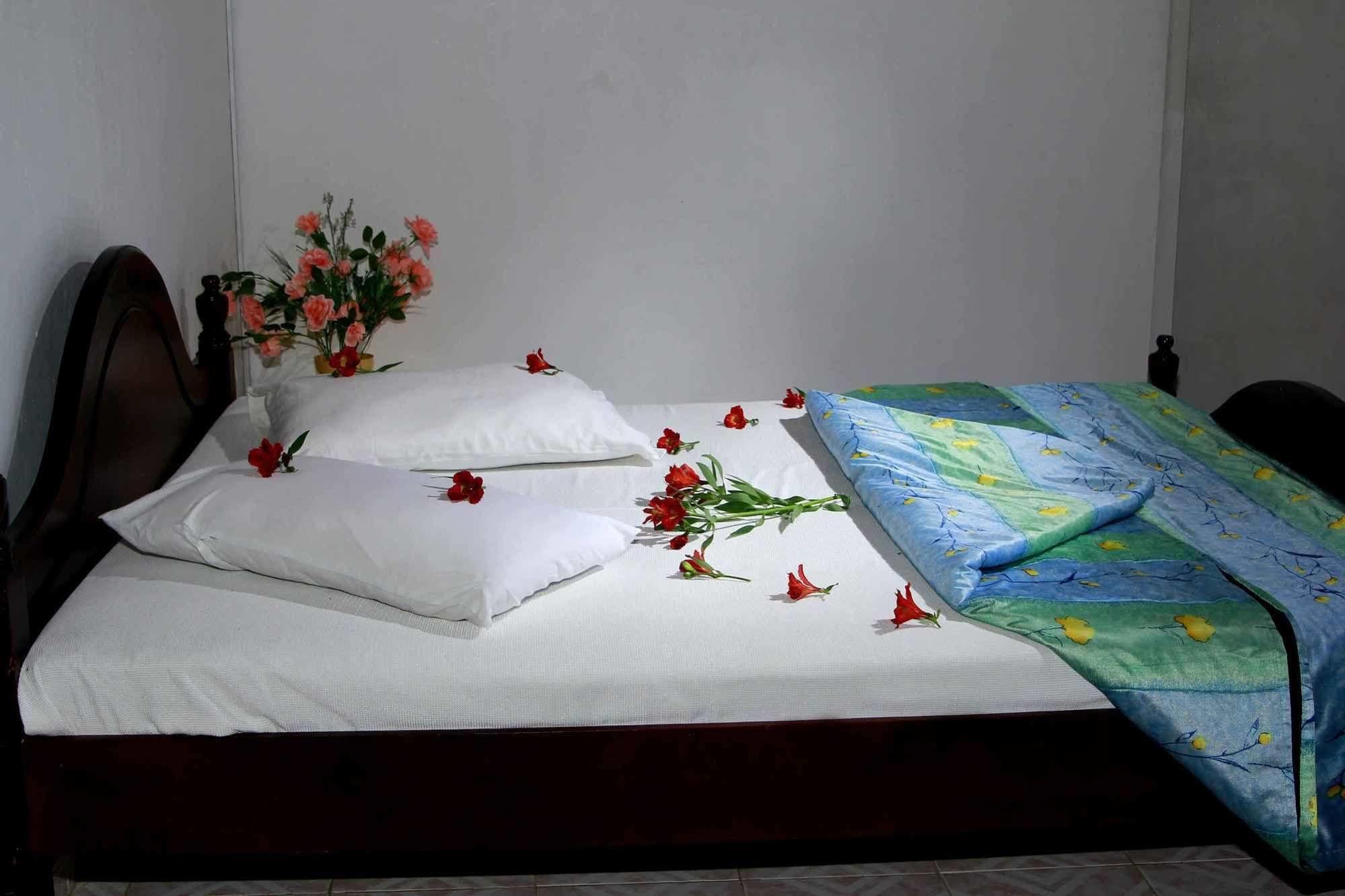 Hotel Forest 3*