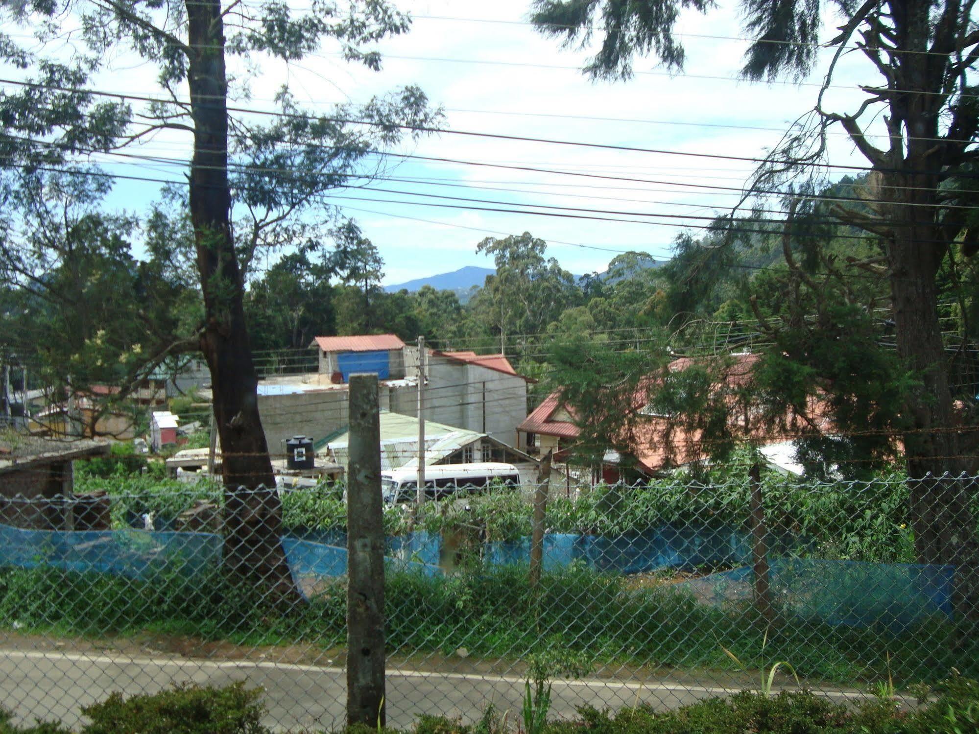 Andrews Homestay *