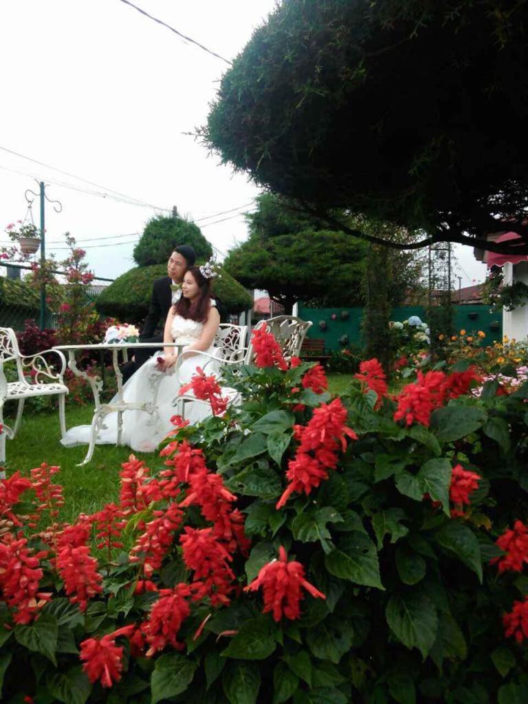 Guest house Rosedale Grand