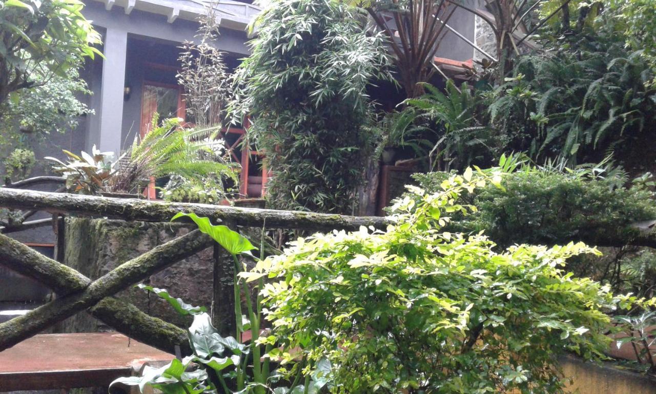 Guest house King Fern Nuwara Eliya