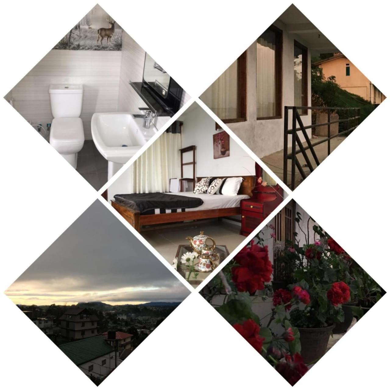 Golden King Guest Bed & Breakfast