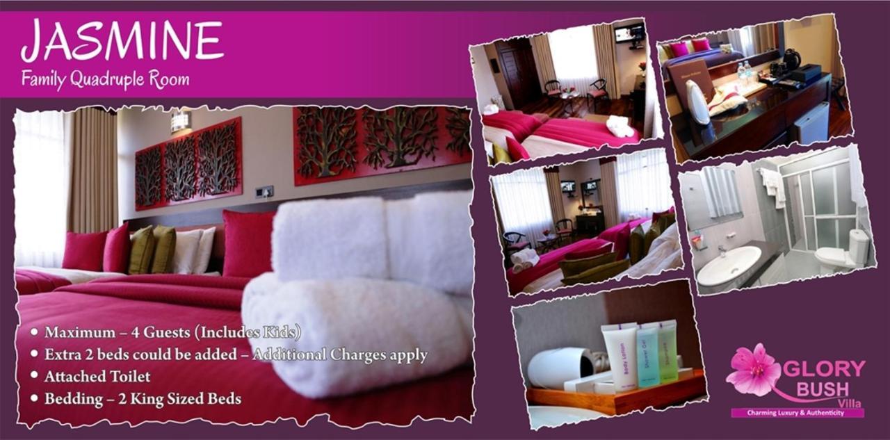 Glory Bush Boutique * Nuwara Eliya
