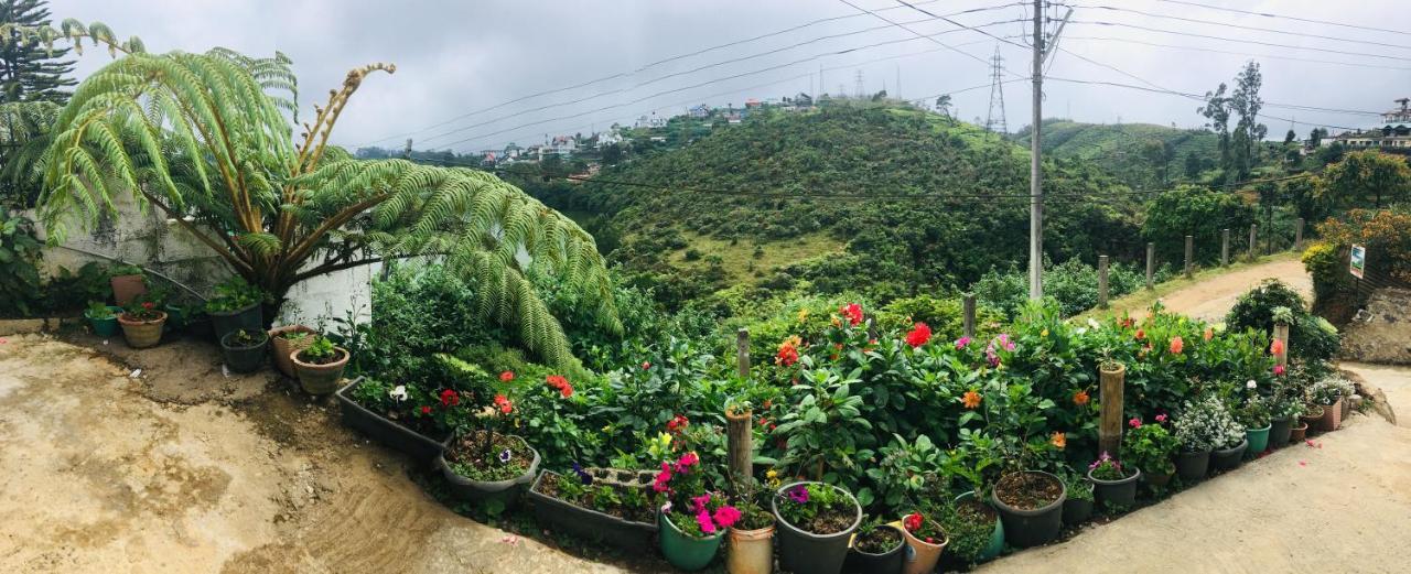 Fair View Homestay