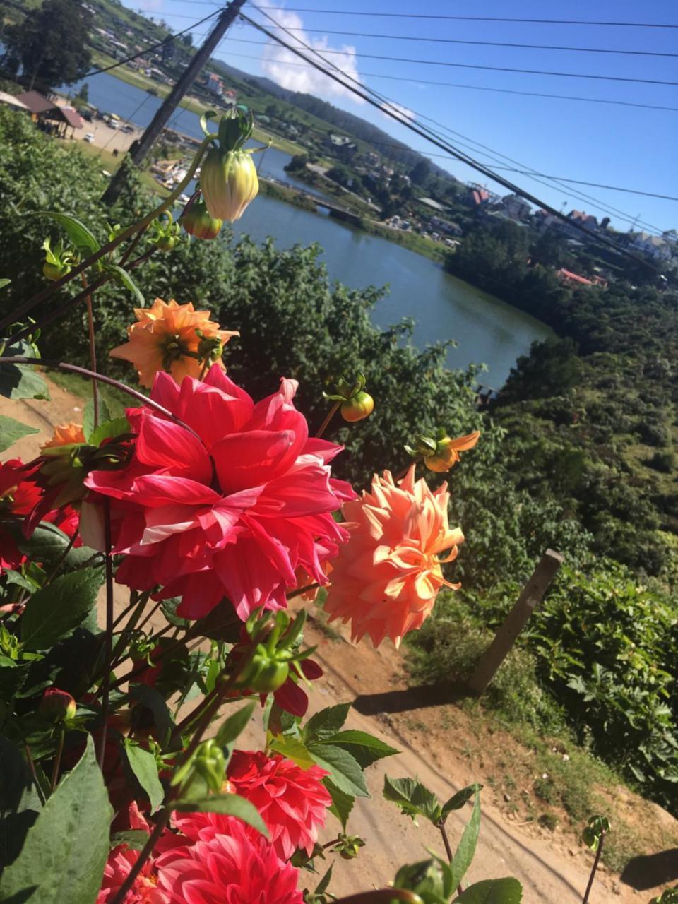 Fair View Homestay