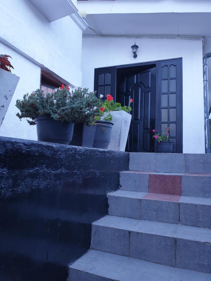 Guest house 234