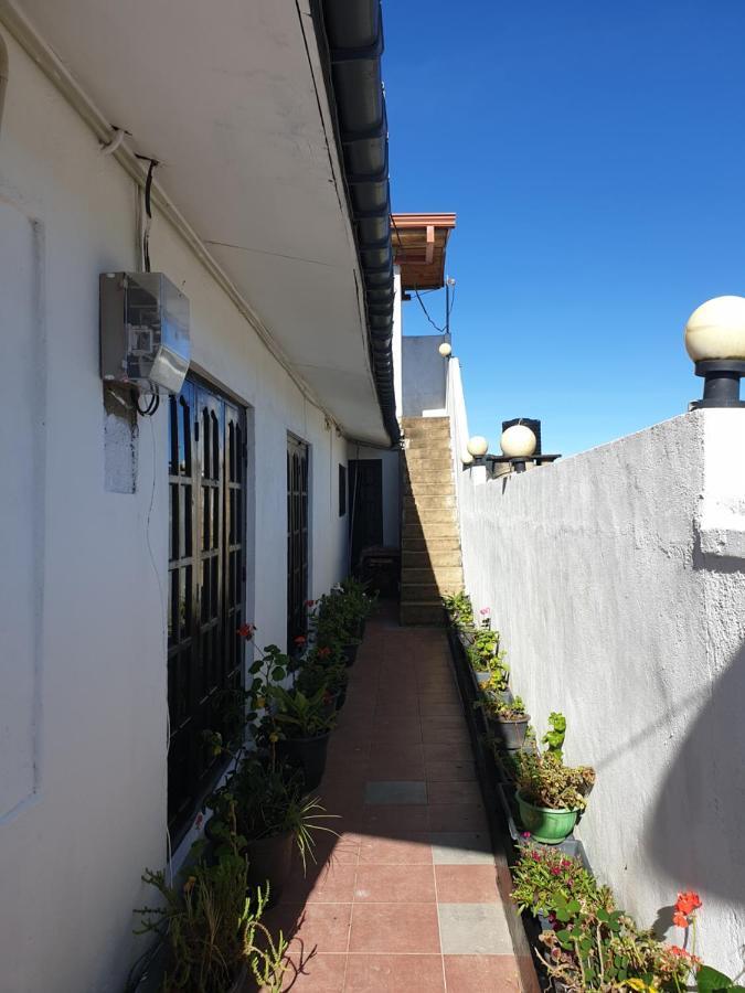 234 Guest house *