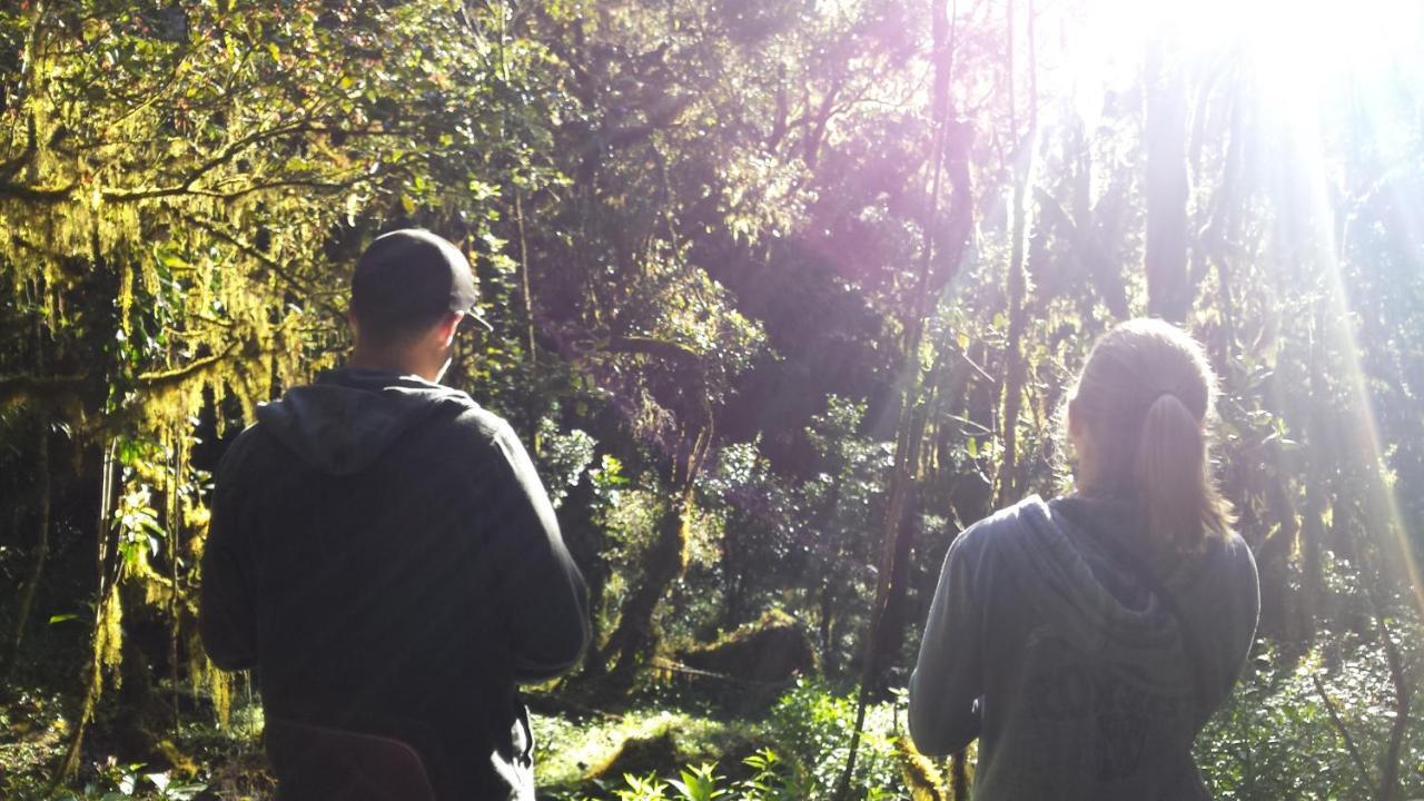 Homestay Woods Hut *