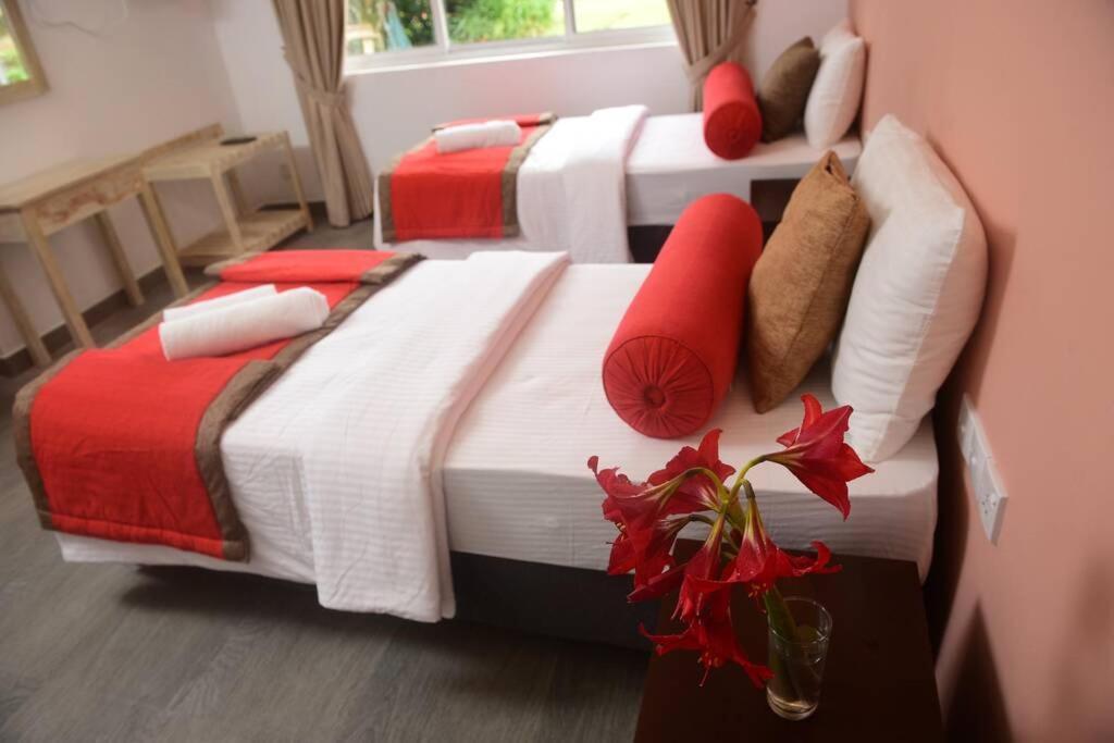 The Edgware Guest house Nuwara Eliya
