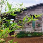 Silonya Holiday Cottage