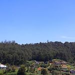 Avonvin