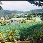 Green Cottage
