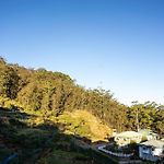 Forest View Lodge
