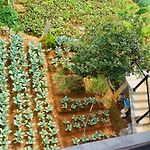 Venus Inn Nuwara Eliya