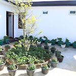 Dawn\'S Bungalow