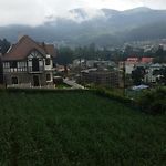Villa De Roshe