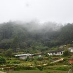 Mihidum Sihina Guest