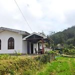 Mihidum Sihina Guest