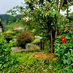 Haven Backpackers