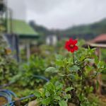 Haven Backpackers