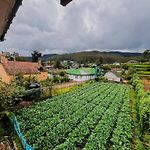 Selis Manor
