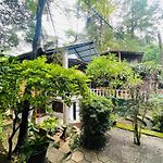 King Fern Cottage