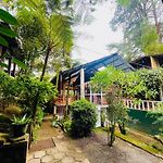 King Fern Cottage