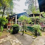 King Fern Cottage