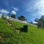 The Galways Edge Homestay