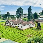 Highland View