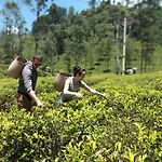 Gk Villa Nuwara Eliya