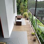 Peace Nest