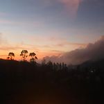 Venus Inn Nuwara Eliya